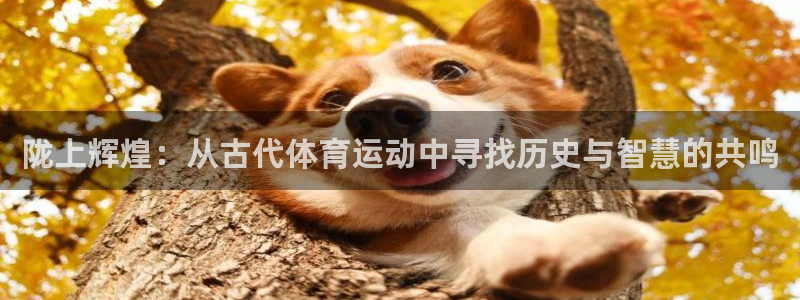 五星体育官网地址：陇上辉煌：从古代体育运动中寻找历史与智慧的共鸣