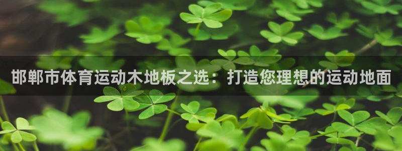 五星体育新闻：邯郸市体育运动木地板之选：打造您理想的运动地面