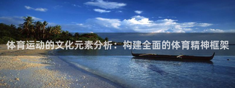 上海五星体育男主持人：体育运动的文化元素分析：构建全面的体育精神框架
