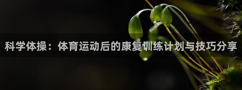 五星体育 刘鹏：科学体操：体育运动后的康复训练计划与技巧分享