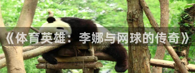 上海五星体育斗地主