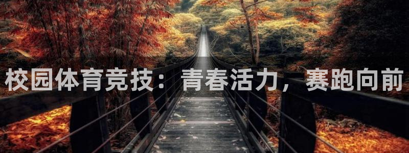 五星体育是哪个台：校园体育竞技：青春活力，赛跑向前