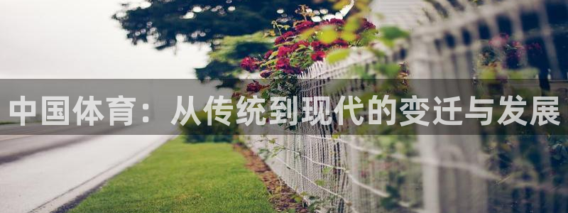 五星体育人力资源部：中国体育：从传统到现代的变迁与发展
